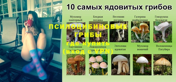 сатива Нефтегорск
